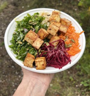Monashee Bowl - tofu, kale, carrot, basmati, beet, tahini dressing   at Backcountry Bowls Food Truck in Clearwater