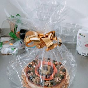  at Pepita D'oro  in Tenerife