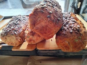  at Pepita D'oro  in Tenerife