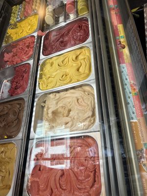 All vegan flavours are clearly labelled   at Amorino in Brussels