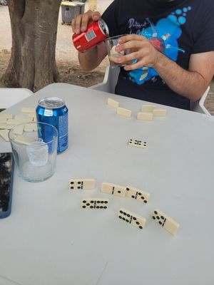 Domino at El Xiringuito del Riu in Camarasa