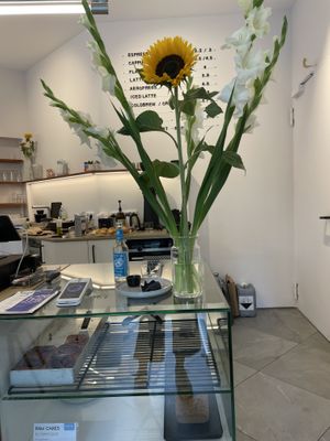   at Anguli Coffee in Cologne