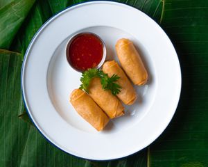 Vegetable Spring Rolls at Plue in New York City