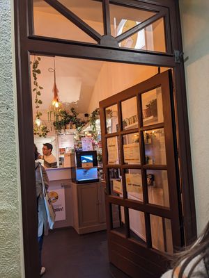 Dumplings noodles rice bowls at Lin's Veggie Dumplin' in Vienna