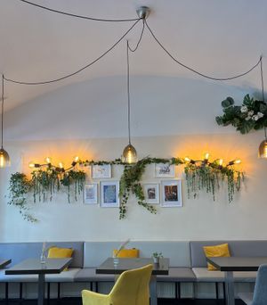   at Lin's Veggie Dumplin' in Vienna