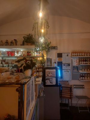 Interior at Lin's Veggie Dumplin' in Vienna