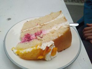 Vegan sponge cake at Fette Henne in Mainz