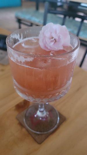  at Dirigo Fermentory in Alajuela