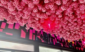   at Neon Ramen  in Everton Park