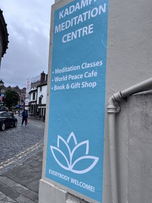   at World Peace Cafe  in Leeds
