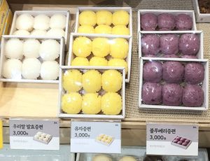 various Jeungpyeon (right: not vegan!) at Bizeun - 빚은 서울역점 in Seoul