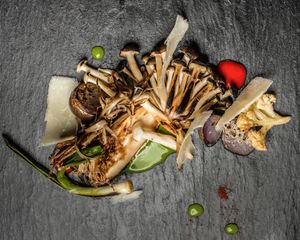 Mushroons  at Flores do Cabo in Colares