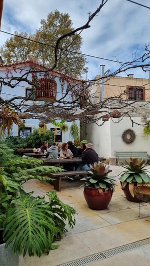  at Flores do Cabo in Colares