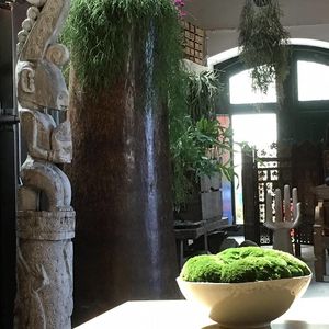 hello at Flores do Cabo in Colares