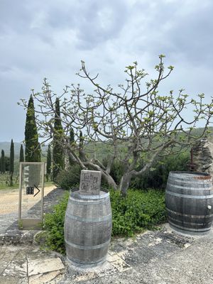 Winery   at Brancaia in Radda In Chianti