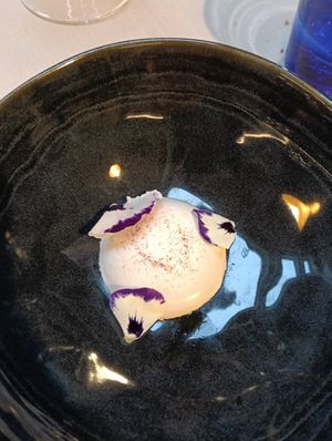 This was so delicious! Pannacotta at Brancaia in Radda In Chianti