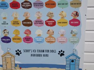 Available favours of which 6 vegan. at Canoe Lake Cafe in Southsea