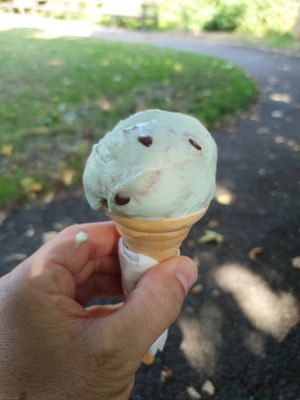 Mint choc at Canoe Lake Cafe in Southsea