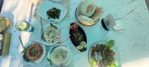 Mezze, incl. Tabuleh, vine leaves and dips at Habib Beirut in Amman