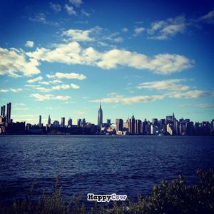 view from chickpea & olive @smorgasburg & Brooklyn flea at Chickpea & Olive in Brooklyn