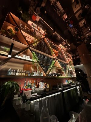   at PLANTA Queen in Washington