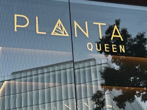   at PLANTA Queen in Washington