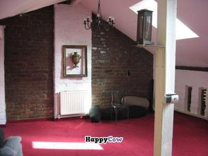 Omra Elias yoga studio (or upstairs seating, depending upon the season)in Bucharest, Romania at Omra Elias in Bucharest