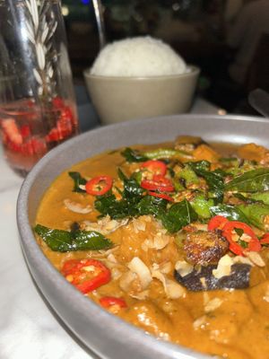Vegan curry  at Lotus in Highgate