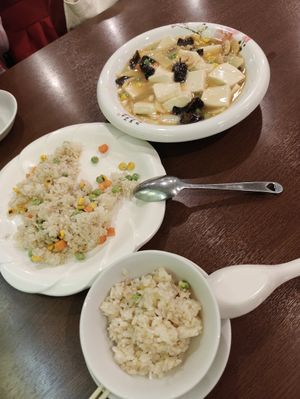 Fried rice and tofu dish at Vegetarian Konan - 素食 江南 in Osaka