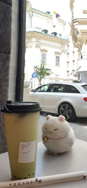Matcha Oat latte with a view at TEEAMO Vienna in Vienna