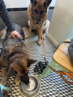   at O Melhor Croissant da Minha Rua in Fuengirola