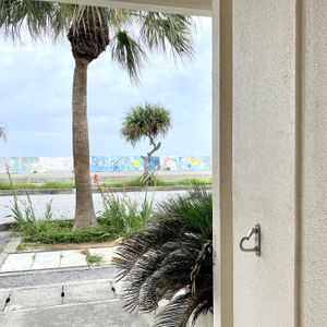   at Blue Point Falafel & Coffee in Yomitan