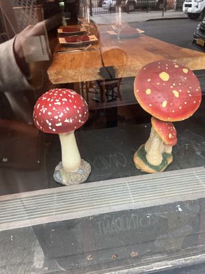   at Third Kingdom in New York City