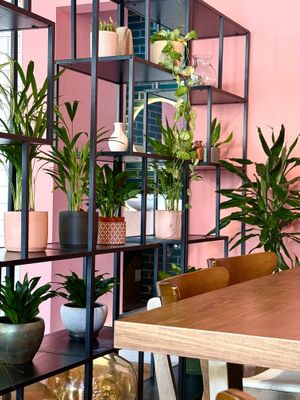   at Dobro Top Vegan   in Dubai