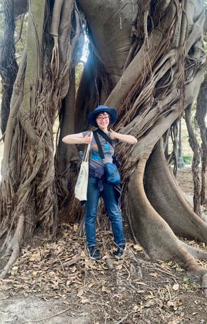 The giant Ficus tree - April 2024 at Vegan Food Tour Ortigia in Siracusa