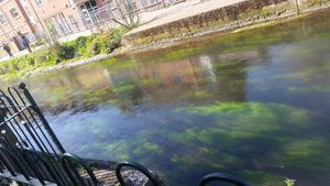 View from the terrace seats across the river at George and Dragon in Salisbury