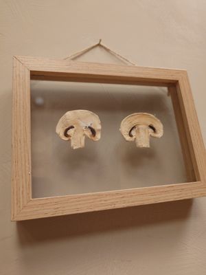 Fantastic wall art at Salad&Co in Lille