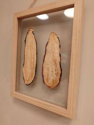 Dried aubergine at Salad&Co in Lille