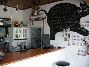 los tres gatos at Los Tres Gatos in La Fortuna