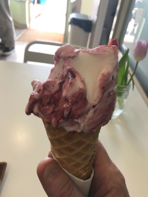 A flavour I have not seen before. Amarello Cherry.  The owner said he ususally make this diary which is his favority but this time he made it vegan.  It was lovely. at Di Pola's in Hastings