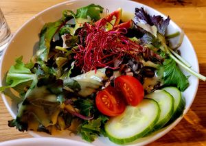  at Velo Landau in Landau