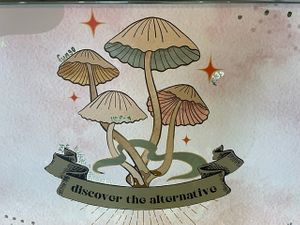 Mushroom at The Hidden Chickpea in Madison