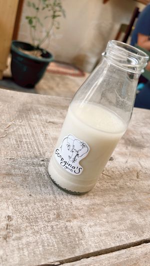   at Georgina's Goods  in Guatemala City