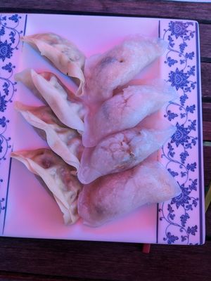 Veggie dumplings at 29 Nine 99 Yum Cha & Tea House in Rylstone