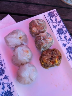 Veggie dumplings, wonton, yam dumpling at 29 Nine 99 Yum Cha & Tea House in Rylstone