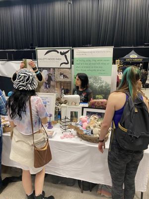 Hugletts Wood Farm animal sanctuary (Brighton VegFest 2023)  at VegfestUK in Bristol