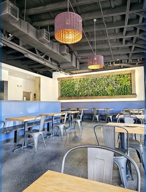 Interior at Buddha Belly Burger in Sacramento