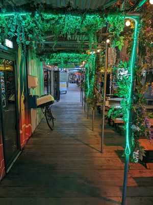  at Herbivorous Spark   in York