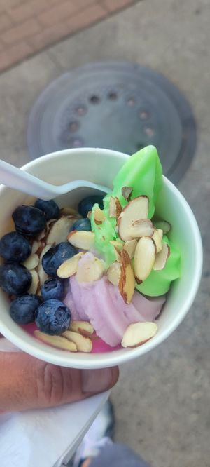 Combined all 4 vegan flavors at Yogaert in Flagstaff