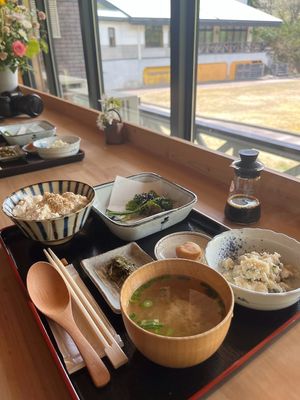 tofu lunch with wild spring veggies (my soy sauce) at Shirakami Tofu  in Aomori